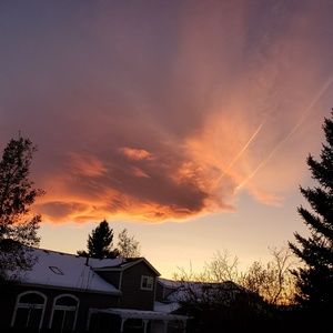 Meet your Posher, Loretta